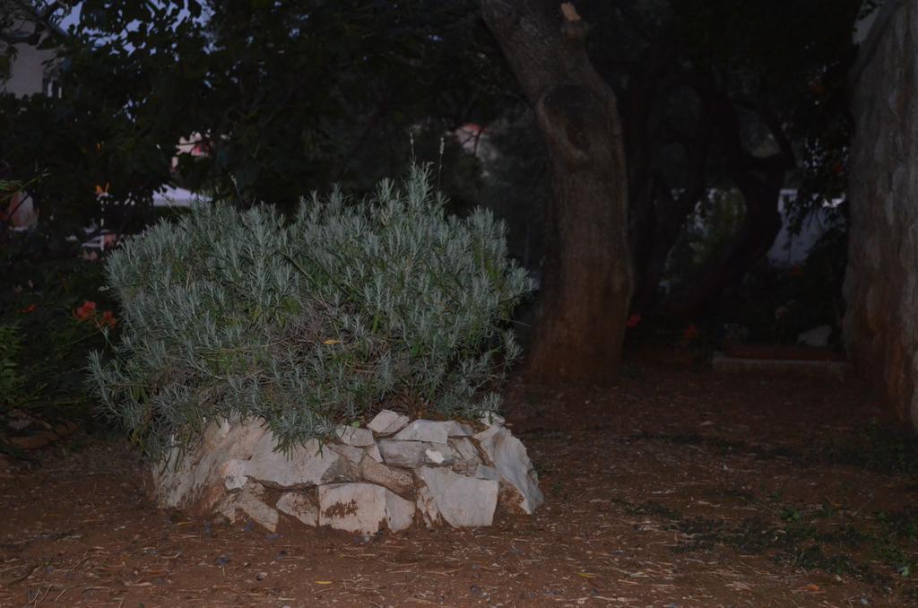 Appartamento Apartmants Bubalo Trpanj